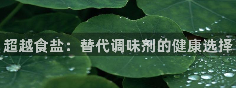 威九国际免费版