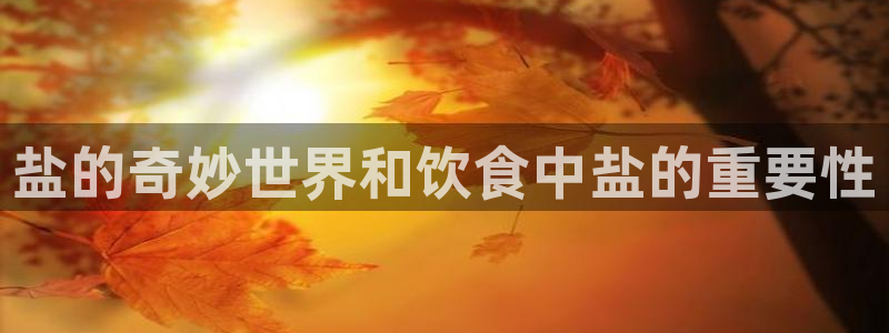 威九国际安全吗