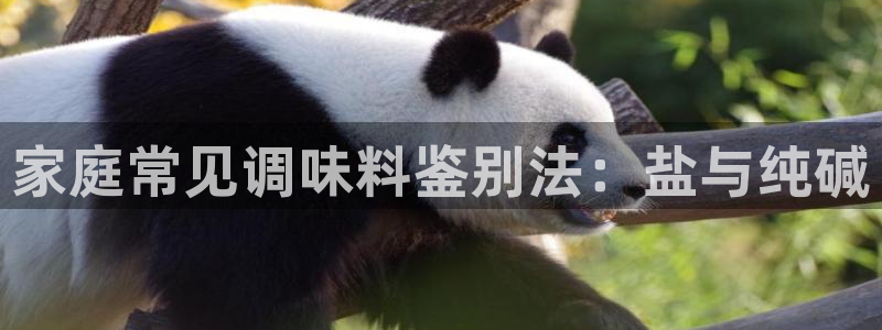 威九国际的网站入口在哪里