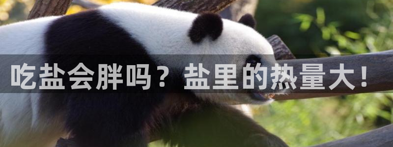 威九国际空降服务怎么样