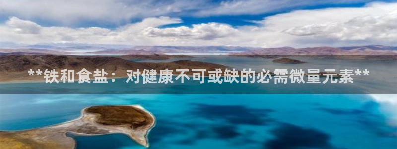 威九国际系列