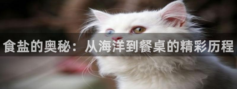 威九国际在线平台怎么样啊