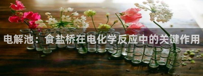 威九国际网站入口官网游戏推荐