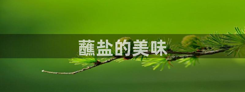 78mapp威九国际媒体央视