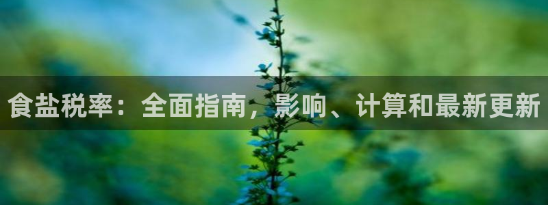 威九国际PPT