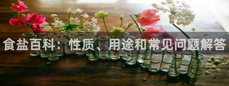 威九国际v18