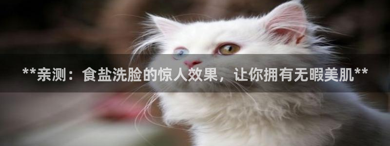 威九国际官方网站最新版本更新内容介绍