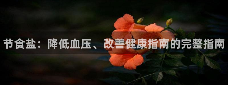 威九国际MM