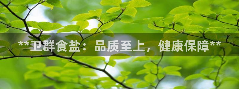 78mapp威九国际