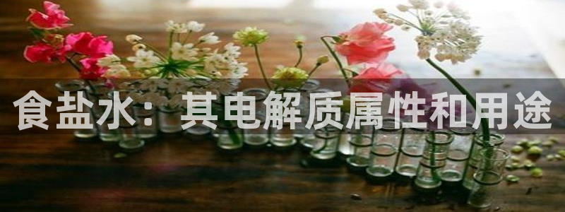 威九国际78mB