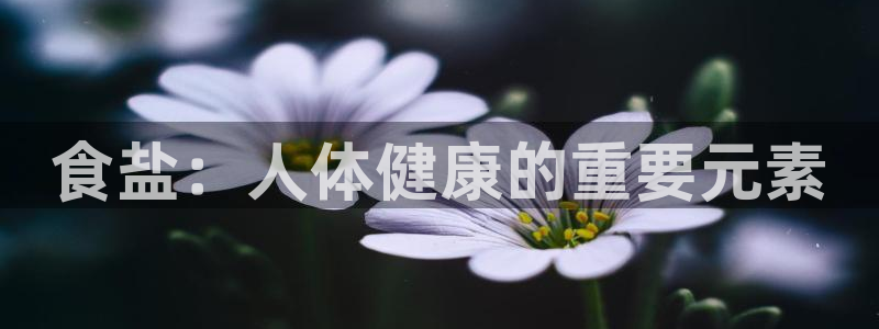 威九国际国精彩片段