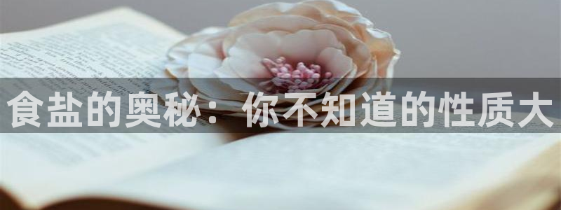 保定威九网络科技有限公司