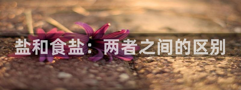 威九国际网站链接