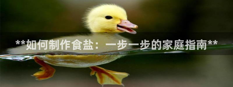 威九国际MM