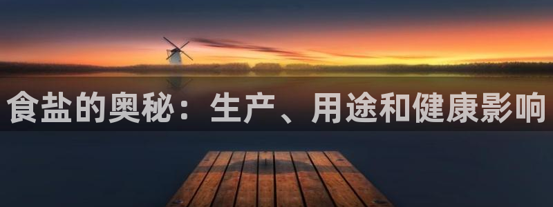 威九国际软件