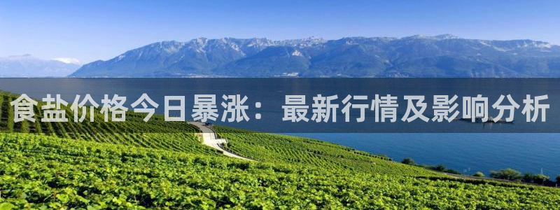 威九国际ppt免费