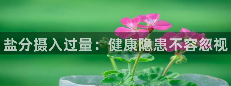 78m.ppt威九国际官网版