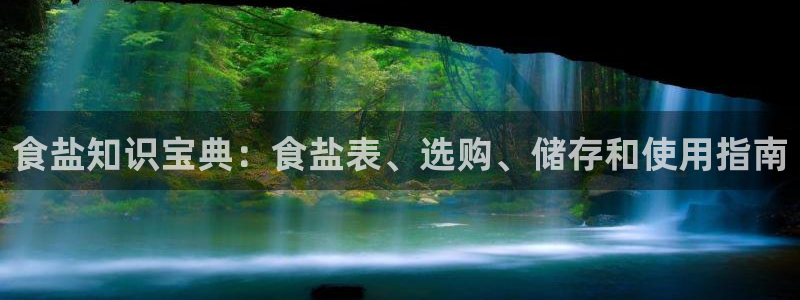 保定威九网络科技有限公司怎么样