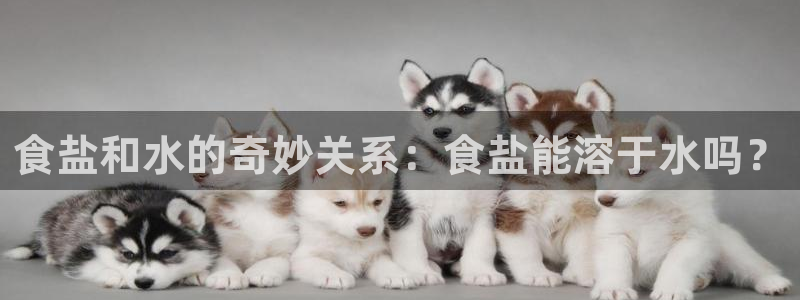 威九国际观看