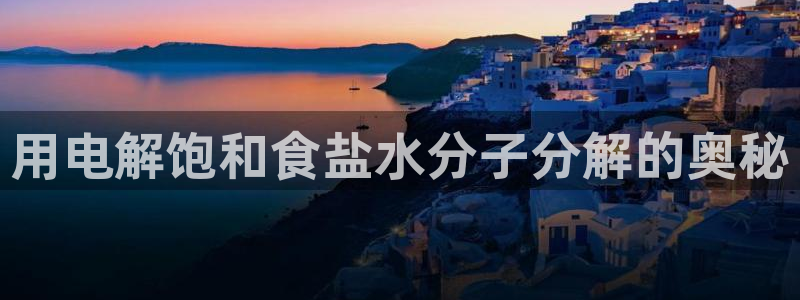 威九国际mm