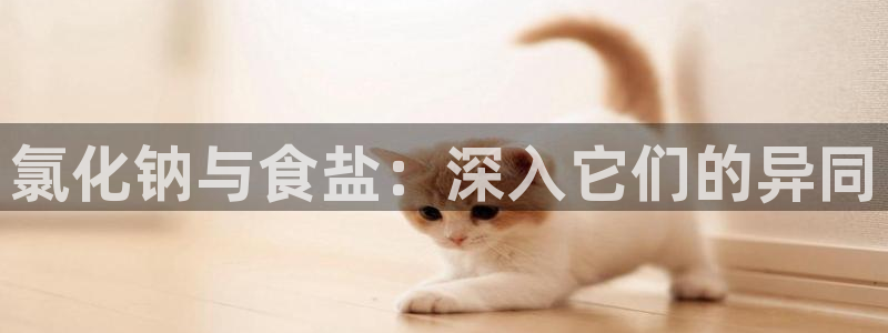 威九国际合作伙伴有哪些