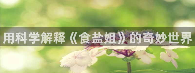 威九国际网站客服电话多少啊