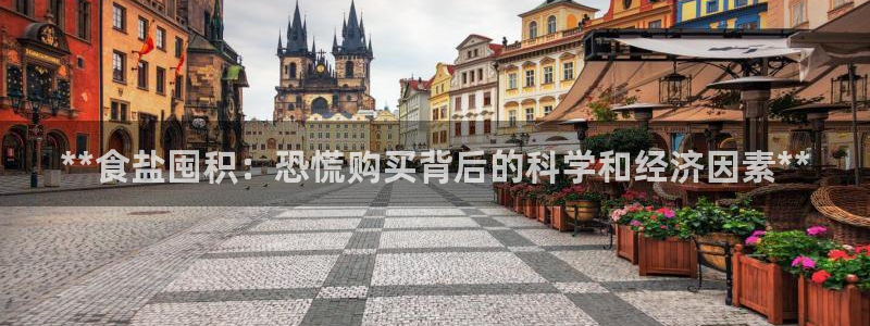 威九国际全国空降
