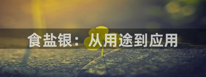 威九国际v96BET
