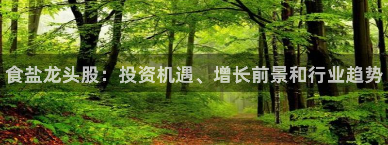 威九国际的金融服务