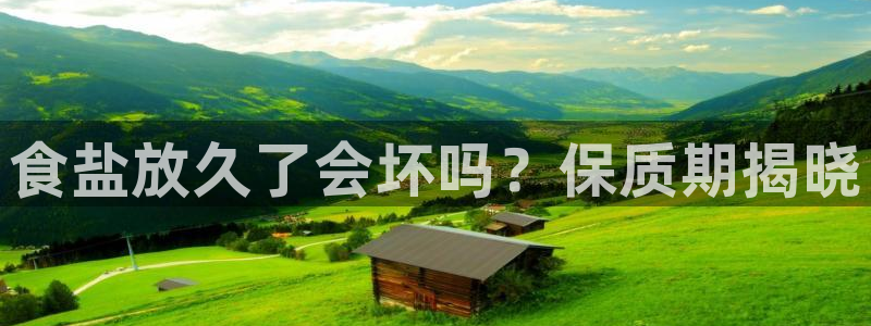 保定威九网络科技有限公司招聘