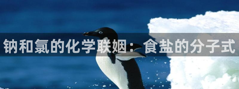 威九国际网站入口地址在哪里