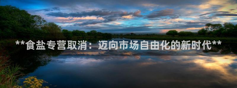 保定威九网络科技有限公司怎么样