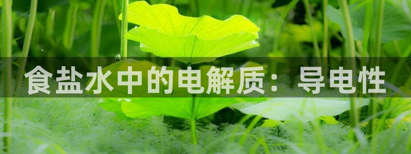 威九国际的金融服务有哪些