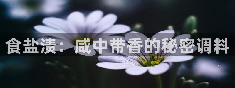 威九国际app入口在哪