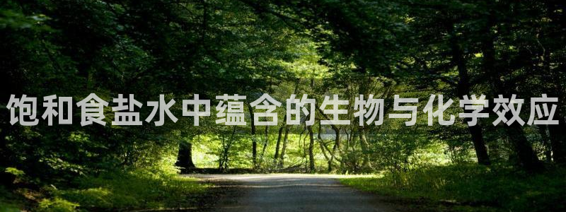 威九国际网站入口地址在哪里