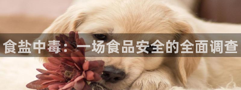威九国际女儿的朋友