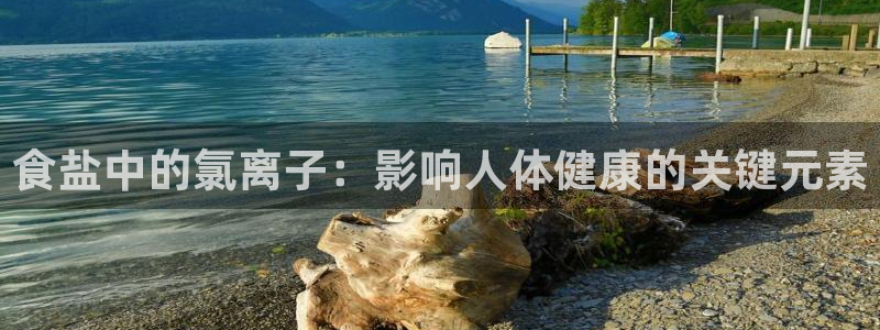 威九国际网站链接怎么打开