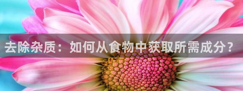 威九国际女演员好漂亮