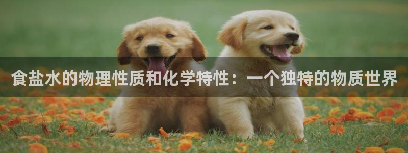 威九国际网站链接