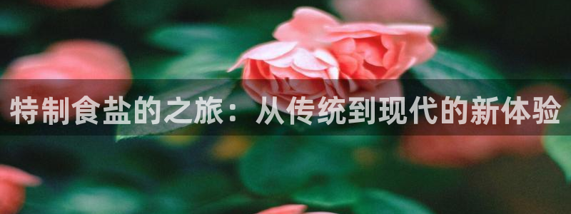 威九国际APP客服
