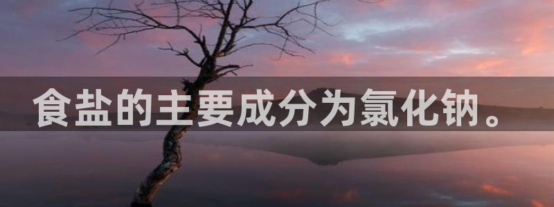 威九国际网站下载