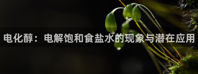 威九国际com