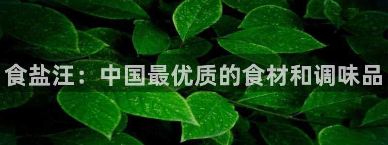 威九国际电影2022年9月月