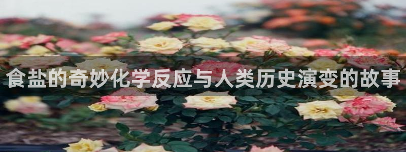 威九国际78mb 视频