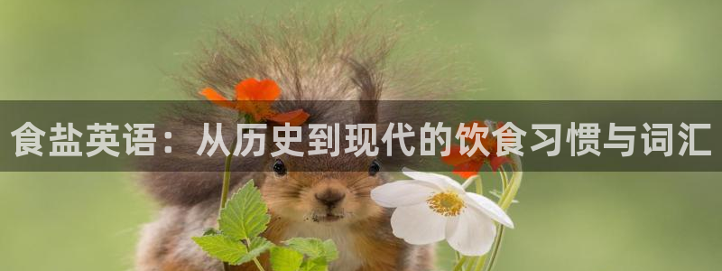 威九国际客服电话号码是多少