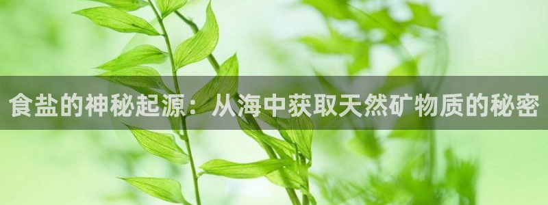 威九国际78mb官网版
