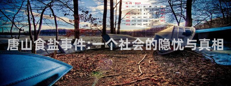 威九国际电视