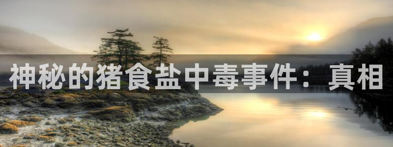 威九国际ppt免费下载网址