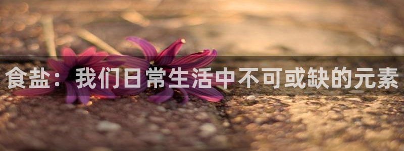 威九国际真人游戏