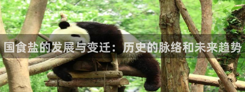 威九国际男演员：国食盐的发展与变迁：历史的脉络和未来趋势